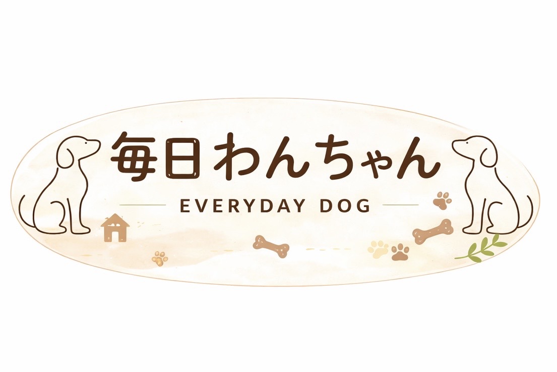 毎日わんちゃん